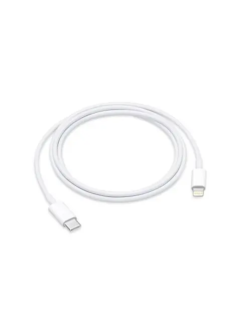 Chargeur Apple USB MD813ZM/A (A1400) Blanc Origine