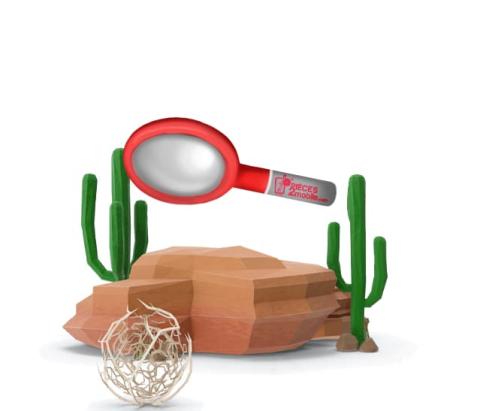 Recherche vide