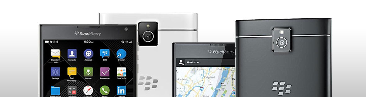 Passport (Q30)