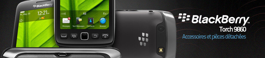 Torch 9860