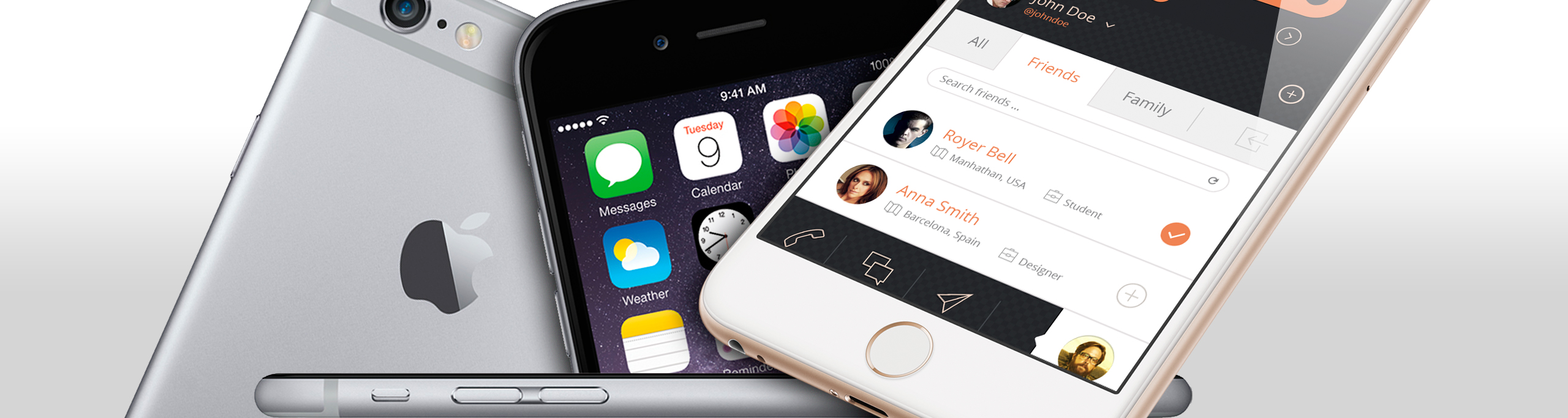 iPhone 6 Plus (A1522 / A1524 / A1593)