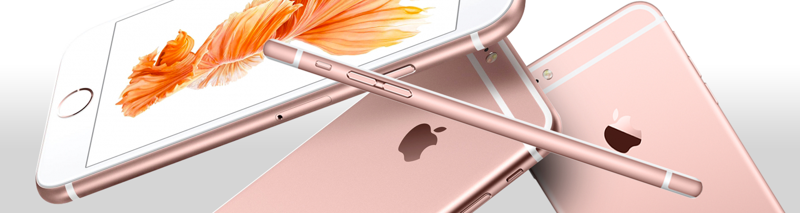 iPhone 6S Plus (A1634 / A1687 / A1699)