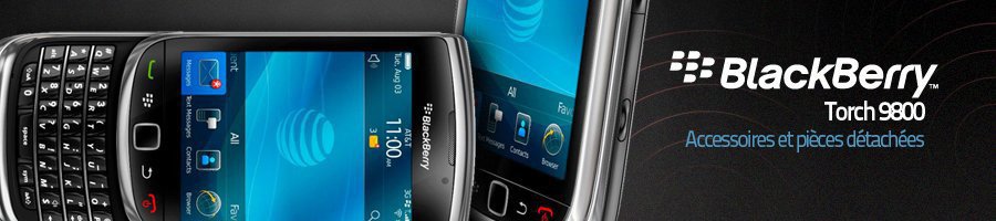 Torch 9800