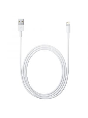 Câble Lightning / USB (2m) MD819ZM Apple Origine