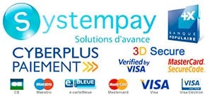 Logo Paiment Pieces2Mobile Grossiste - Fournisseur de pièces détachées de smartphones iPhone Samsung Huawei et tablettes